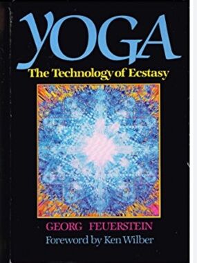 Yoga: The Technology of Ecstasy by Georg Feuerstein